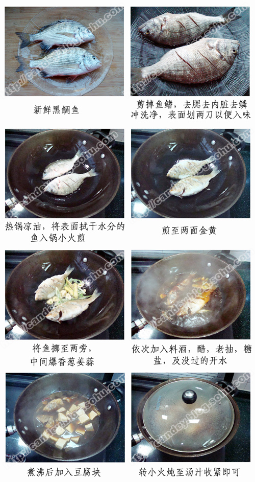 黑鯛魚燜豆腐的做法(圖解)-